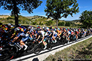 2020 Road World Championships