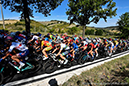2020 Road World Championships