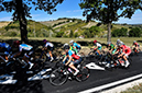 2020 Road World Championships