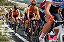 2020 Road World Championships