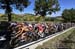 2020 Road World Championships
