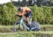 2020 Road World Championships