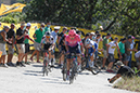 55a edizione Tirreno Adriatico -  da Follonica a Saturnia - 217 km