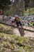 Albstadt World Cup, Elite