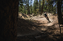 BCBR
