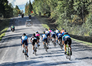 2021 Road National Championships, Road Race