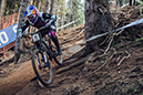 UCI World Cup
