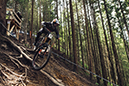 DH World Cup in Leogang, Austria