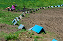Nove Mesto World Cup, Women XC