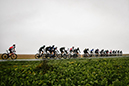 Paris Roubaix