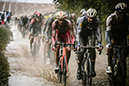 Paris Roubaix
