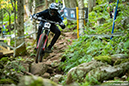 UCI Downhill World Cup