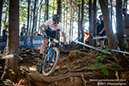 World Cup Snowshoe