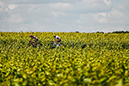 Tour de France