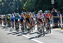 GPC Montreal