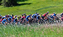 2022 Road Nationals