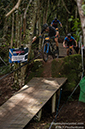 WoodsC
