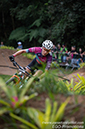 Brazil World Cup XCC