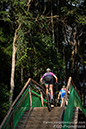 Brazil World Cup XCC