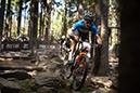 Nove Mesto Na Morave World Cup
