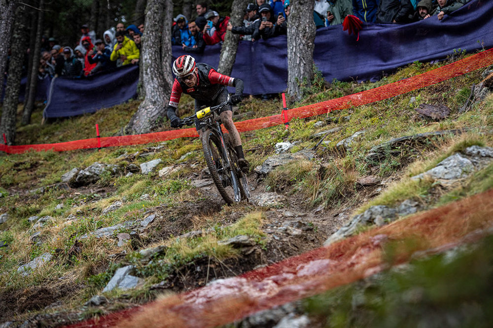 World Cup Pal Arsinsal, Andorra