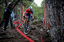 World Cup Pal Arsinsal, Andorra