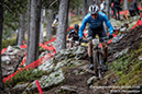 World Cup Pal Arsinsal, Andorra