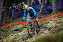 World Cup Pal Arsinsal, Andorra