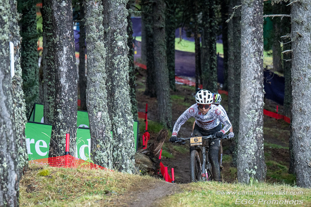 World Cup Pal Arsinsal, Andorra