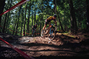 Stefan Ritter Photo Gallery