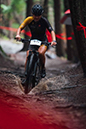 Stefan Ritter Photo Gallery