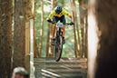 Stefan Ritter Photo Gallery