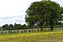 2024 Ontario Cup, Harrisburg
