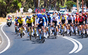 2024 Tour Down Under
