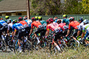 2024 Tour Down Under