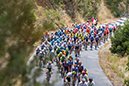 2024 Tour Down Under