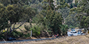 2024 Tour Down Under