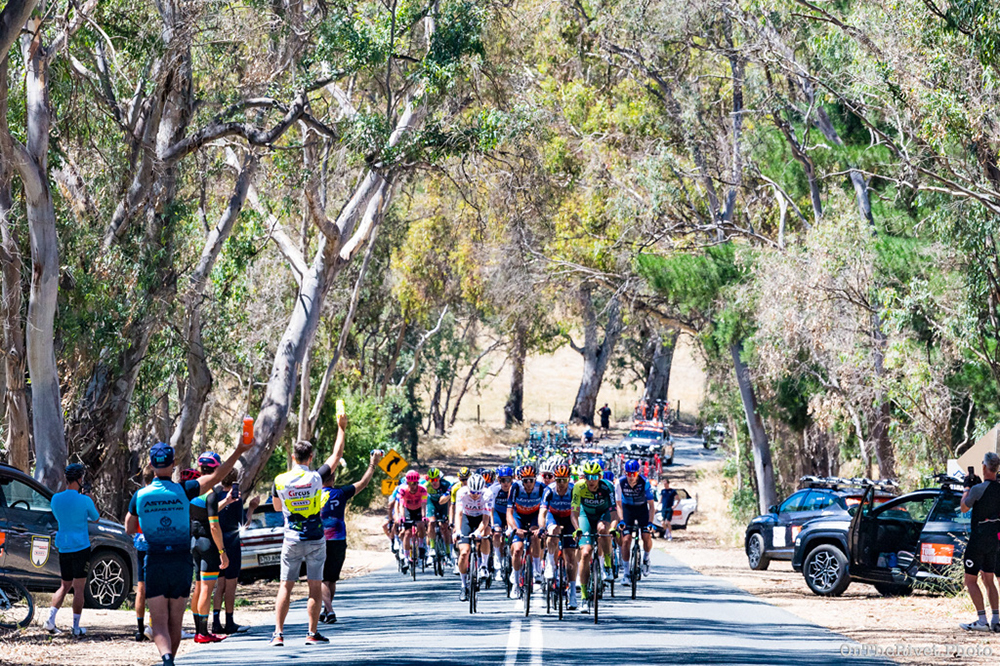 2024 Tour Down Under