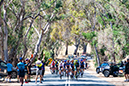 2024 Tour Down Under