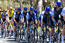 2024 Tour Down Under