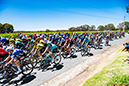 2024 Tour Down Under