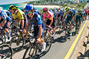 2024 Tour Down Under