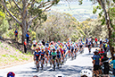 2024 Tour Down Under