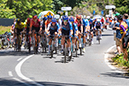 2024 Tour Down Under