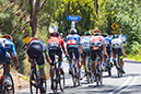 2024 Tour Down Under