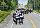 2024 Tour de Beauce