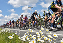 Tour de Beauce: Stage 2