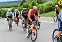 2024 Road National Championships - Elite and U23Men RR