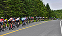 2024 Road National Championships - Elite and U23Men RR