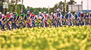 2025 Le Tour de l'Abitibi